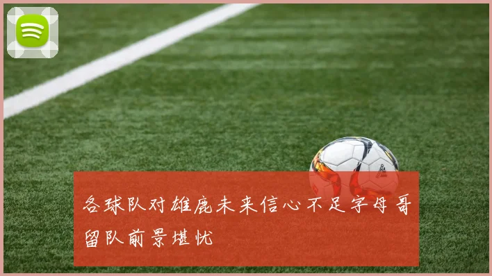 各球队对雄鹿未来信心不足字母哥留队前景堪忧